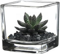 WGV 2 Inch Tea Light Votive Candle Holder, Clear, Square Cube 2”x2”, Small Tiny Bulk, Home Décor, Table Top, 6 Pcs