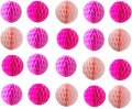 20pcs Honeycomb Flower Balls Party Honeycomb Balls Decoration Paper Flower Balls Tissue Paper Flower Ball Pom Poms Ball for Birthday Wedding Home Decor (6inch, Pink Pack)