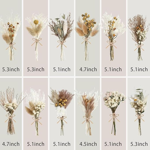 10/12/24/36 Pack Mini Dried Flowers for Vase Wedding Various Mini Bouquet Dried Small Wildflowers Natural Flowers Bulk for Crafts DIY Decor (36, Plain Colour)