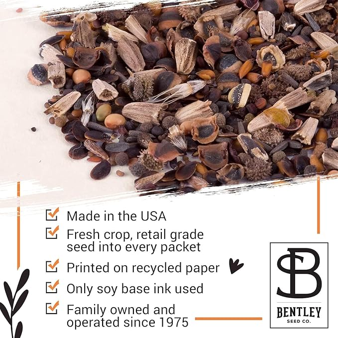 Pride - 25 Wildflower Packets for Planting - Celebrate Love & Show Your Pride - Garden Seeds to Grow Live Plants - Bentley Co.