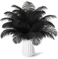 NEWONG 30pcs Black Ostrich Feathers Natural Bulk 8-10inch(20-25cm) Vase Craft Wedding Home Party Centerpieces Christmas Day Decoration