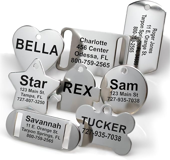 Providence Engraving Custom Engraved Stainless Steel Pet ID Tags - Personalized Front and Back Identification, for Large or Small Cats and Dogs, Bone, Regular