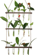 YIBOT Propagation Stations,3 Tiered Wall Hanging Terrarium with Wooden Stand,Mini Glass Test Tubes Vase,Propagation Tubes for Hydroponic Cutting Home Garden Office Decor Plant Lover Gift