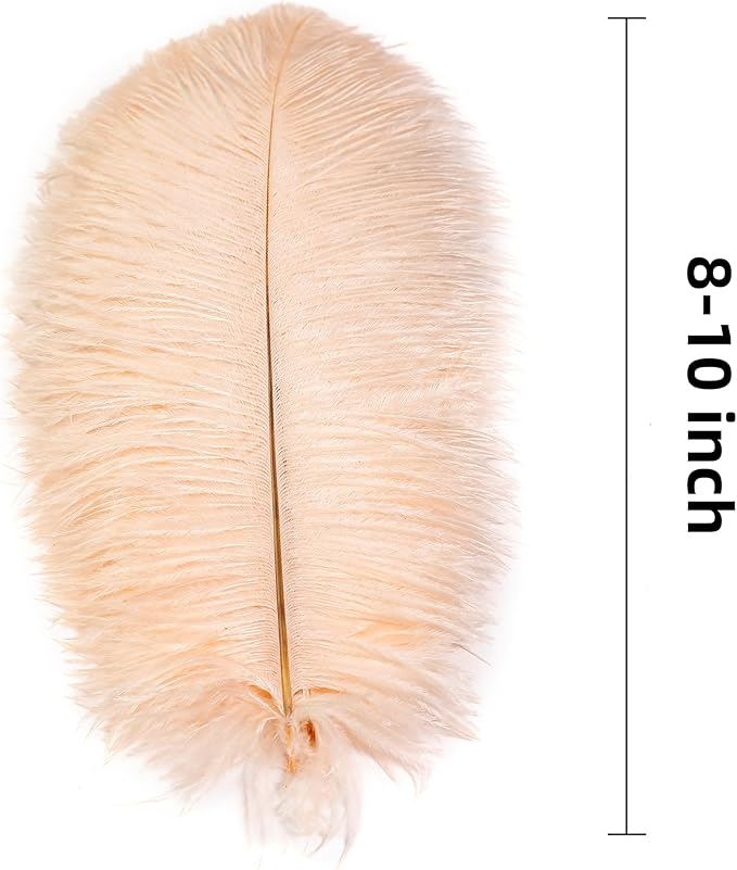 Ballinger Light Salmon Ostrich Feathers - 24pcs 8-10inch Feathers for Crafts，Wedding Party Centerpieces and Home Decor