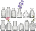 Glass Bud Vase Set of 12 Pcs Small Minimalist Vases for Flowers, Vintage Rustic Home Decor for Table Centerpiece Wedding Party, Modern Clear Aromatherapy Bottle for Living Room Bedroom