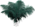 Ballinger Blackish Green Ostrich Feathers - 12Pcs 12-14inch Long Craft Feathers Bulk for Vase, Wedding Party Centerpieces Mardi Gras Decorations and Home Decor