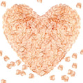 1000Pieces Rose Petals, Artificial Flower Petals Fake Rose Petals for Romantic Night,Wedding,Proposal Anniversary Flower Decorations(Flesh Pink)