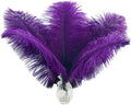 Ballinger Purple Ostrich Feathers Bulk - 24Pcs 8-10inch Feathers for Vase, Party Centerpieces Mardi Gras and Home Decor