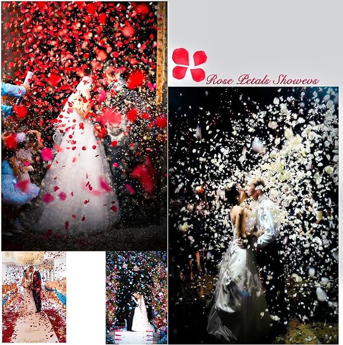 1000Pieces Rose Petals, Artificial Flower Petals Fake Rose Petals Silk Red Rose Petals for Romantic Night,Wedding,Proposal Anniversary Flower Decorations (Red)