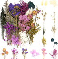 Vignee Real Dried Pressed Leaf Flowers-Multiple Colorful Pressed Flowers Daisies for Craft Resin Jewelry Making Art Craft DIY（Violet）