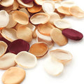 Floroom 300pcs Rose Petals Chic Terracotta Faux Silk Flower Petals Burnt Orange for Wedding Flower Girl Basket Aisle Scatter Table Centerpieces Party Confetti Bridal Shower Romantic Night Decoration