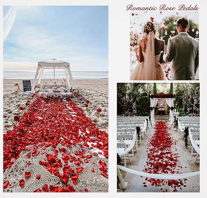 1000Pieces Rose Petals, Artificial Flower Petals Black Bose Petals for Romantic Night,Wedding,Proposal Anniversary Flower Decorations (Black)