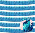 6 Pack 10 Ft Lake Blue Foil Fringe Garland Metallic Streamers Tinsel Banner Wall Hanging Garland Backdrop for Parade Floats, Halloween, Christmas, Thanksgiving, New Year Party Decorations
