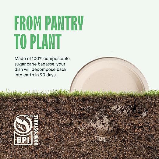 100% Compostable Paper Plates 9 Inch [500 Count] Heavy-Duty Dinner Plates - Natural Brown Color Unbleached Bagasse - Eco-Friendly Disposable Biodegradable Sugarcane Plates - [Bulk Case 4/125 Pack]